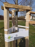 2025 &raquo; Országos Településfásítási Program - 2025